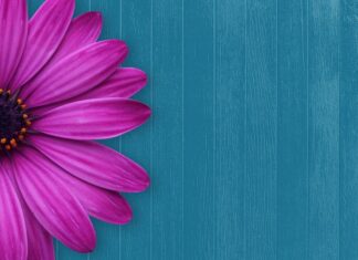 Jak zapraszać gości z dziećmi?