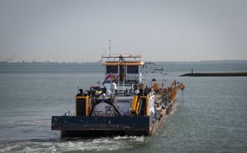 Czy pchacz jest zdrowy? Czy pchacz jest zdrowy?