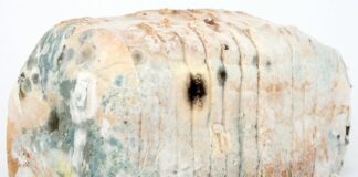 Czym dezynfekować butelki? Czym dezynfekować butelki?