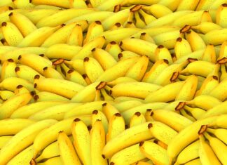 Czy można jeść banany w czasie karmienia piersią?