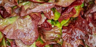 Jak zrobić sałatkę królewska?