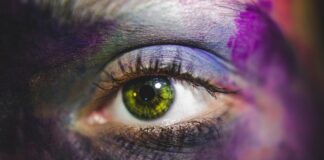 Jak rozpoznać gdzie jest nose a gdzie tail?